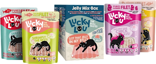 Natvoer voor katten Tonijn &amp; Kip Gelei Mix Doos, Multipack (12x70 g), 840 g