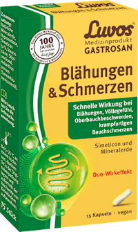 Gastrosan Blähungen & Schmerzen Kapseln, 15 St