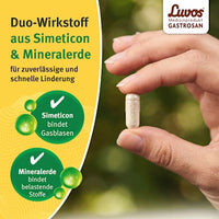 Gastrosan Blähungen & Schmerzen Kapseln, 15 St
