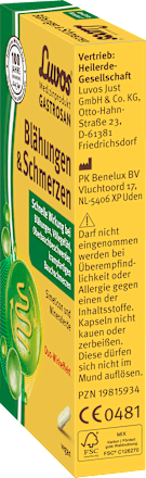 Gastrosan Blähungen & Schmerzen Kapseln, 15 St