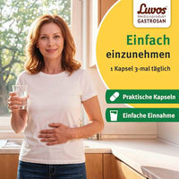Gastrosan Blähungen & Schmerzen Kapseln, 15 St