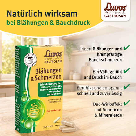Gastrosan Blähungen & Schmerzen Kapseln, 15 St