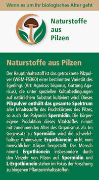 Lonjevity 1 Zellschutz Kapseln 120 St, 67,5 g