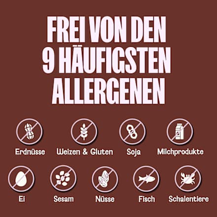 Organic Granola Bites, Chocolate Chip (5 Stück), 120 g