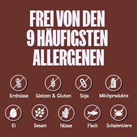 Organic Granola Bites, Chocolate Chip (5 Stück), 120 g