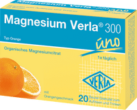 Magnesium 300 Portionsbeutel 20 St, 80 g