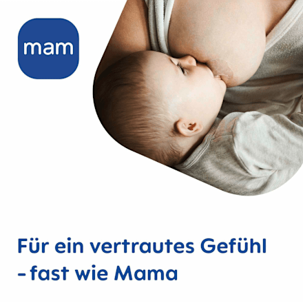 Stillhütchen Gr. L, 2 St