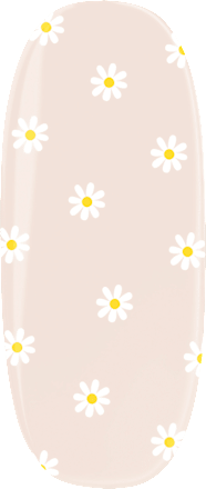 UV Gel Nagelfolien Daisies, 20 St