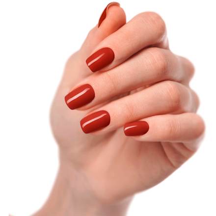 UV Gel Nagelfolien Ox Blood, 20 St
