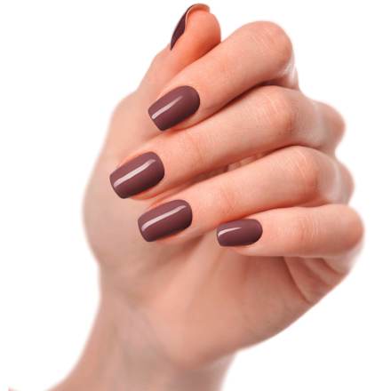 UV Gel Nagelfolies Geroosterde Pruim, 20 stuks