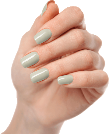 UV Gel Nagelfolies Salie, 20 stuks