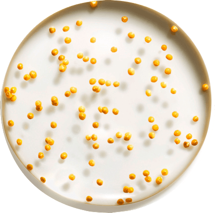 Serum Miracle Pure Skin-Illuminating, 30 ml MAX FACTOR