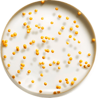 Serum Miracle Pure Skin-Illuminating, 30 ml MAX FACTOR