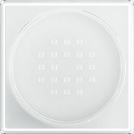 Loses Puder Fit Me Loose Setting 01 Translucent, 15 g