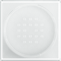 Loses Puder Fit Me Loose Setting 01 Translucent, 15 g