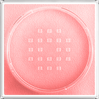 Loses Puder Fit Me Loose Setting 02 Pink, 15 g