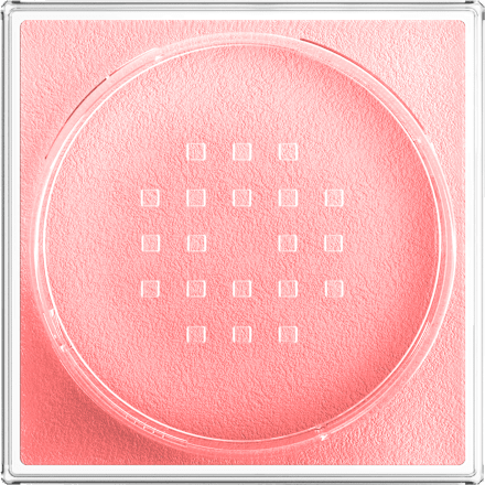 Loses Puder Fit Me Loose Setting 02 Pink, 15 g