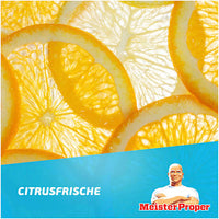 Allzweckreiniger Citrusfrische, 1 l