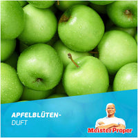 Allesreiniger spray antibacterieel, 800 ml