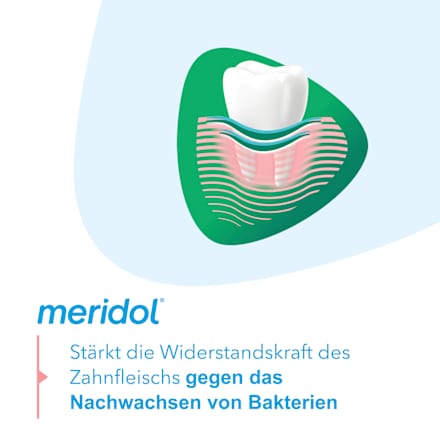 Mundspülung Zahnfleischschutz & frischer Atem, 400 ml
