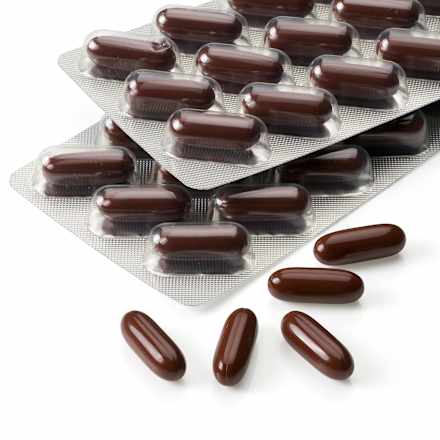 GehirnFit Kapseln 30 St, 37,3 g