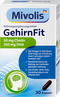 GehirnFit Kapseln 30 St, 37,3 g