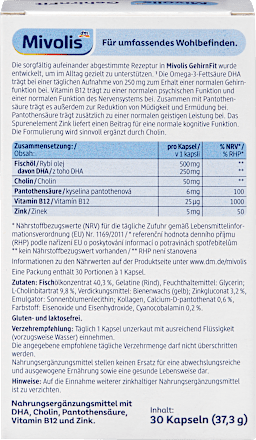 GehirnFit Kapseln 30 St, 37,3 g