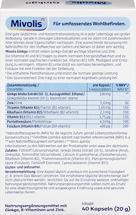Ginkgo Kapseln 40St, 20 g