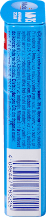 Pastilles, Mints Pepermunt, suikervrij, 35 g