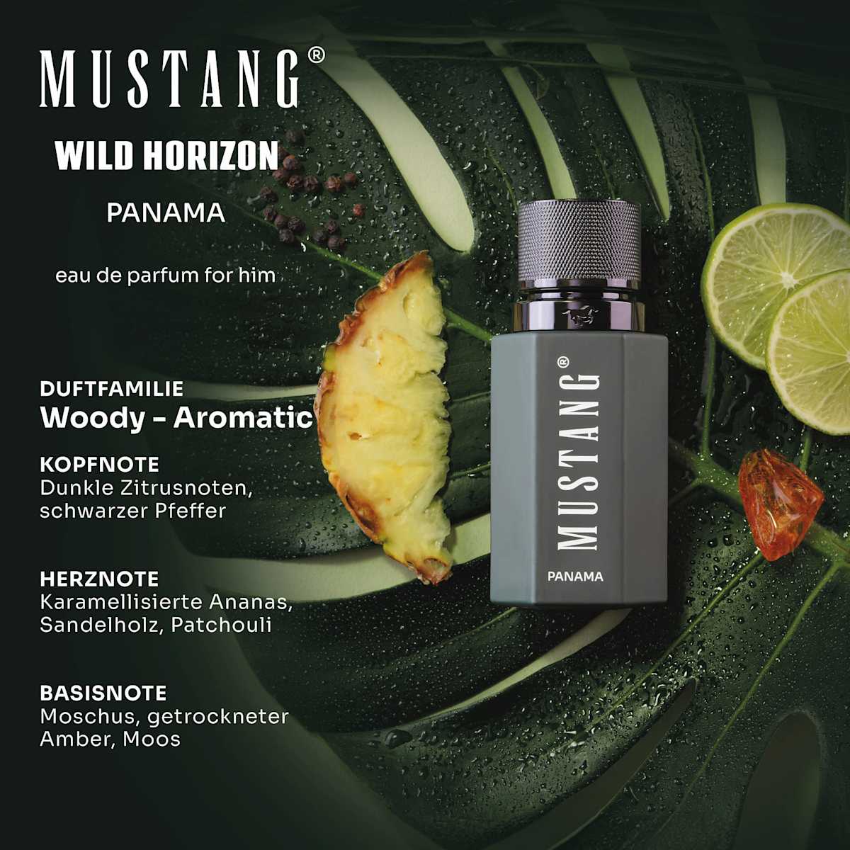 Wild Horizon Panama Eau de Parfum, 50 ml