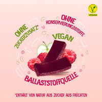 Trockenfrüchte, Fruchtsnack Himbeere, Softe Stückchen auf Apfelbasis, 35 g