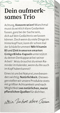 Ginkgo Biloba Kapseln, 75 St