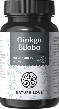 Ginkgo Biloba Kapseln, 75 St