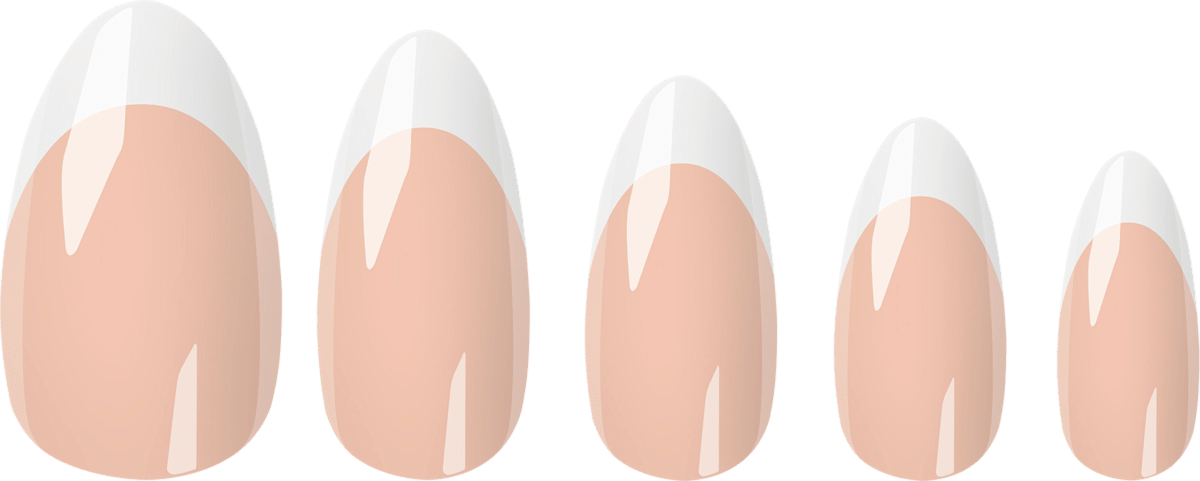 NÉONAIL Press Ons Perfect French Medium Almond, 32 St