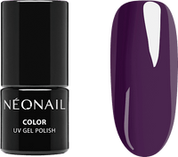 Starter Set Color Favorites, 1 St