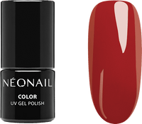 Starter Set Color Favorites, 1 St