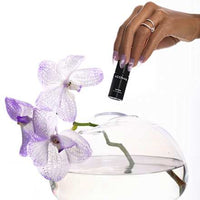 UV Nagellack Cat Eye Lavender Rise, 7,2 ml