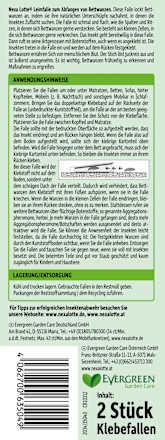 Bedwantsenlijmval, 2 stuks