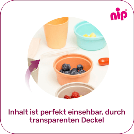 Kleurrijke snackbox, 6 stuks