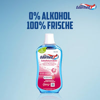 Mundspülung Zahnfleisch Aktiv, 500 ml