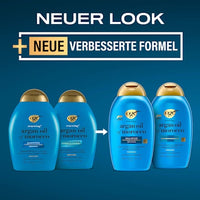 Conditioner renewing, Argan Oil of marocco, 385 ml
