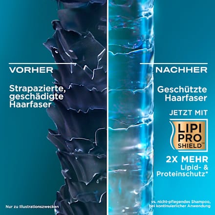 Conditioner vernieuwend, Arganolie uit Marokko, 385 ml