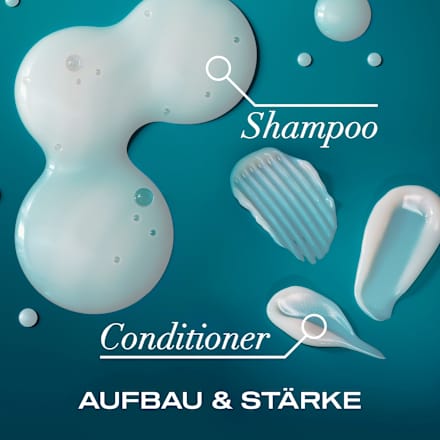 Shampoo vernieuwend, Arganolie uit Marokko, 385 ml