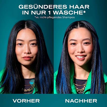 Shampoo vernieuwend, Arganolie uit Marokko, 385 ml