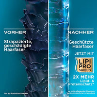 Shampoo vernieuwend, Arganolie uit Marokko, 385 ml