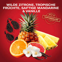 Duschgel Wolfthorn 3in1, 800 ml