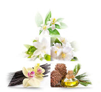 Magnolia Eau de Parfum, 60 ml