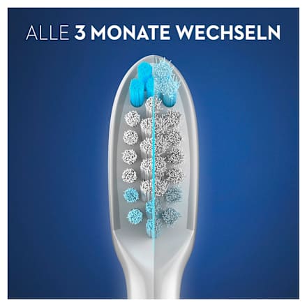 Aufsteckbürsten Pulsonic Clean, 8 St