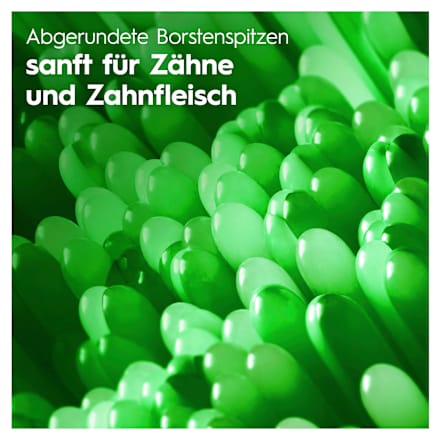 Zahnbürste Pro-Clean mittel, 2 St