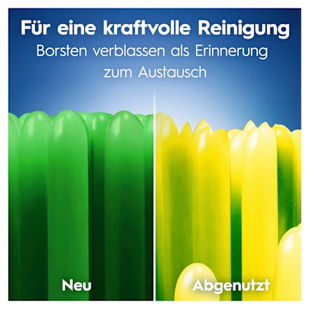 Zahnbürste Pro-Clean mittel, 2 St